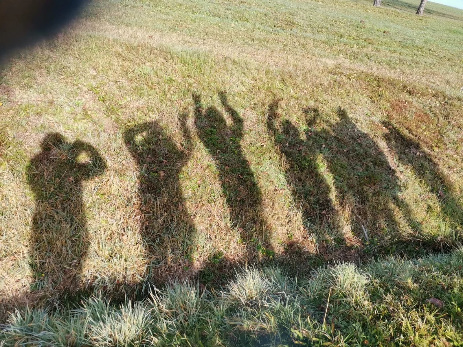 Waldbaden Galerie Bild 11