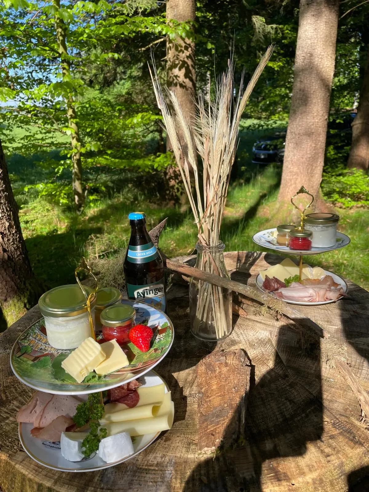 Waldbaden Galerie Bild 18